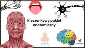 Kieszonkowy pakiet anatomiczny