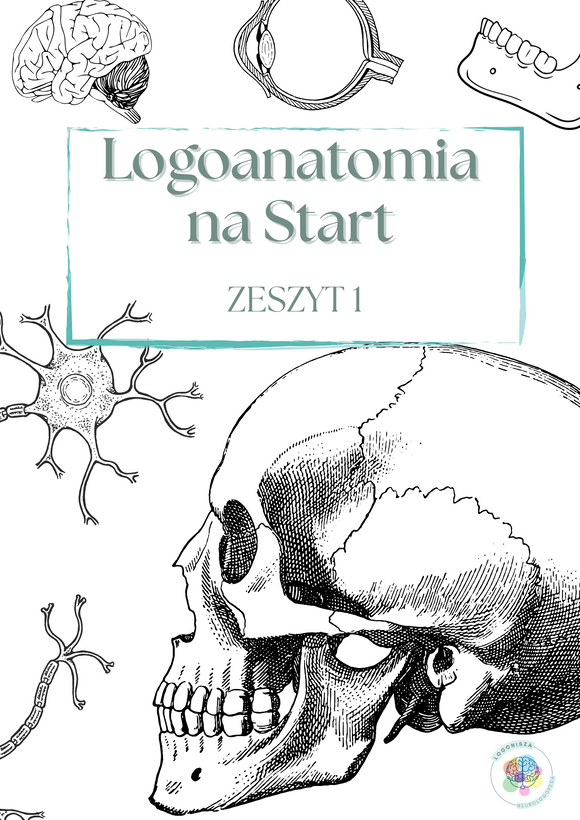 Logoanatomia na start. Żuchwa