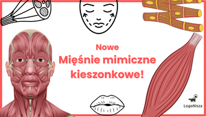 Nowe Mięśnie mimiczne kieszonkowe