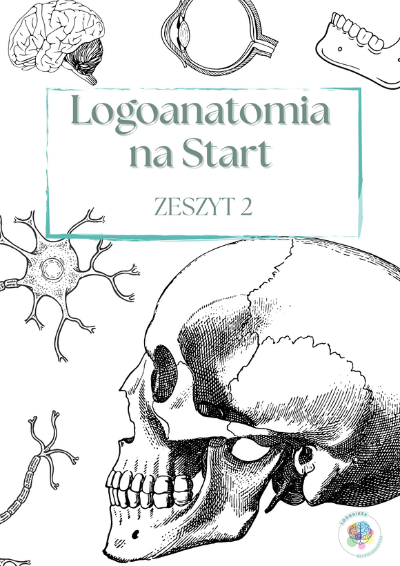 Logoanatomia na start. Czaszka